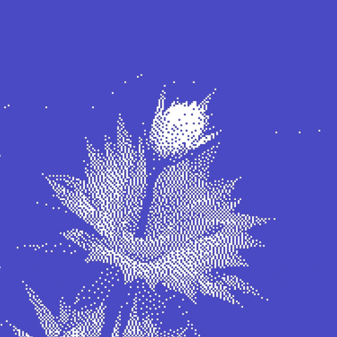 Garden pixel art