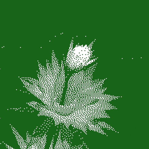 Bouncing Garden Art